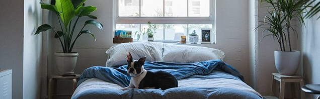 air-conditioning-in-home